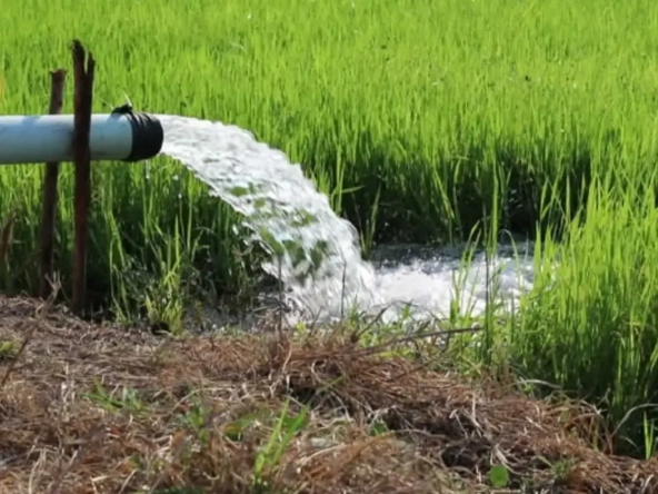 AG069_Water_pump__2.webp
